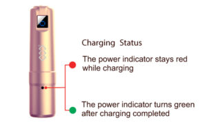 MESOpower charger guide